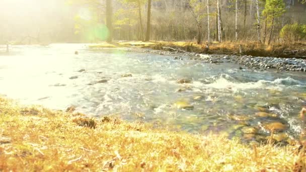 Dolly-Slider-Aufnahme des plätschernden Wassers in einem Gebirgsfluss in Waldnähe. Nasse Felsen und Sonnenstrahlen. Horizontale stetige Bewegung. — Stockvideo