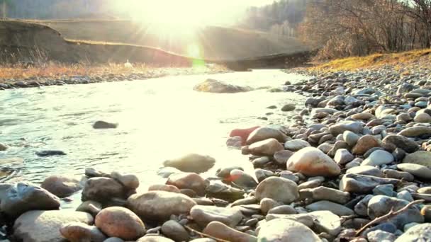 Dolly deslizador de tiro de las salpicaduras de agua en un río de montaña cerca del bosque. Rocas húmedas y rayos de sol. Movimiento horizontal constante. — Vídeo de stock