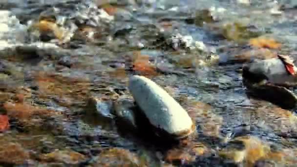 Dolly-Slider-Aufnahme des plätschernden Wassers in einem Gebirgsfluss in Waldnähe. Nasse Felsen und Sonnenstrahlen. Horizontale stetige Bewegung. — Stockvideo