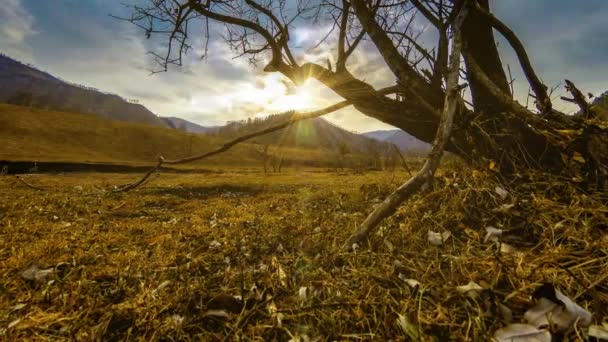 Lapso de tempo da árvore da morte e grama amarela seca na paisagem montanhosa com nuvens e raios de sol. Movimento deslizante horizontal — Vídeo de Stock