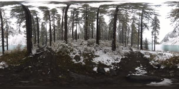 冬の時間で山の湖360 vr 。野生の自然とマウントバレー。松の緑の森と空の速い雲. — ストック動画