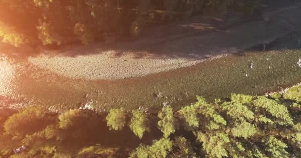 Vuelo en medio del aire sobre un río de montaña fresco y limpio en la soleada mañana de verano. Movimiento vertical — Vídeo de stock