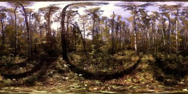 Bir şehir parkının UHD 4K 360 VR Sanal Gerçekliği. Sonbaharda ya da yaz gününde ağaçlar ve yeşil çimenler