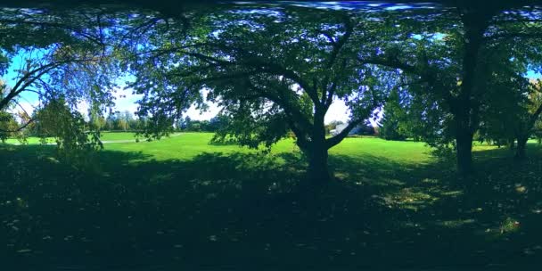 UHD 4K 360 VR Virtual Reality of a city park recreation area. Trees and green grass at autumn or summer day — Stock Video