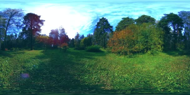 UHD 4K 360 VR都市公園レクリエーションエリアの仮想現実。秋または夏の日の木や緑の草 — ストック動画