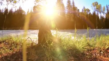 Dağ nehri kıyısındaki çayır. Yeşil çimlerle, çam ağaçlarıyla ve güneş ışınlarıyla kaplı bir manzara. Motorlu kaydırma kulesinde hareket.