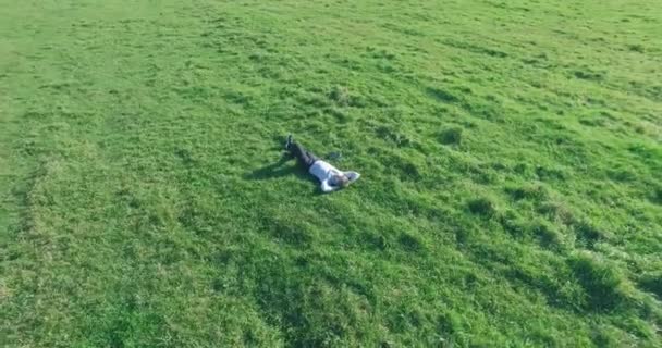 Lage baanvlucht rond mens op groen gras met notitieblok op geel landelijk veld. — Stockvideo