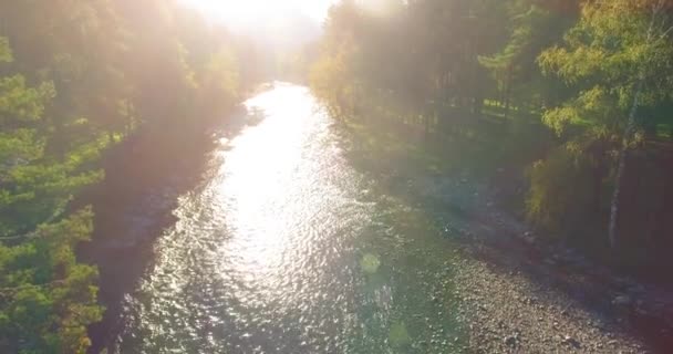 Volo a bassa quota sul fresco fiume di montagna veloce con rocce al soleggiato mattino d'estate. — Video Stock