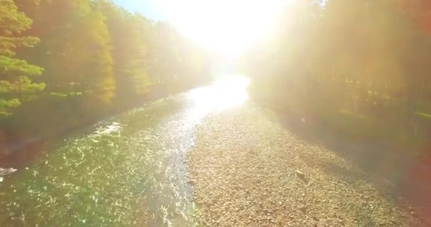 Lot na niskiej wysokości nad rzeką szybką, świeżą górską rzeką z kamieniami w słoneczny letni poranek. — Wideo stockowe