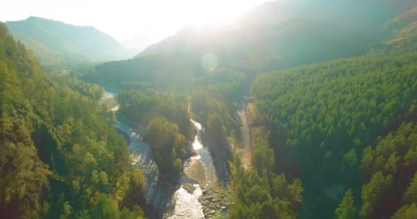 Laaggelegen vlucht over verse snelle bergrivier met rotsen op zonnige zomerochtend. — Stockvideo