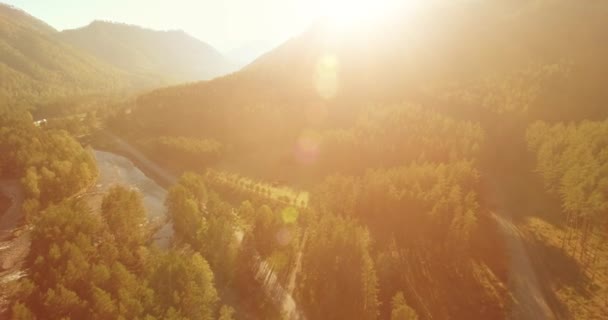 Low altitude flight over fresh fast mountain river with rocks at sunny summer morning. — Stock Video