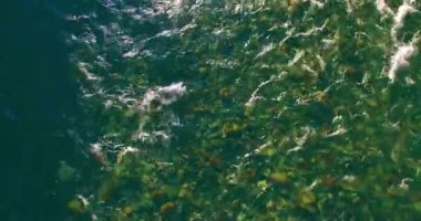 Güneşli yaz sabahında kayalarla birlikte taze, hızlı dağ nehri üzerinde alçak irtifa uçuşu..