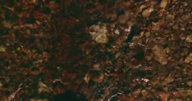 Güneşli yaz sabahında kayalarla birlikte taze, hızlı dağ nehri üzerinde alçak irtifa uçuşu..