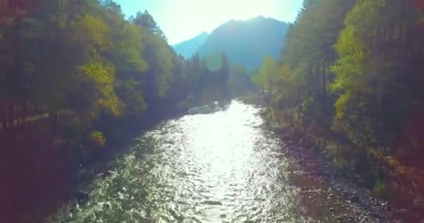 Volo a bassa quota sul fresco fiume di montagna veloce con rocce al soleggiato mattino d'estate. — Video Stock