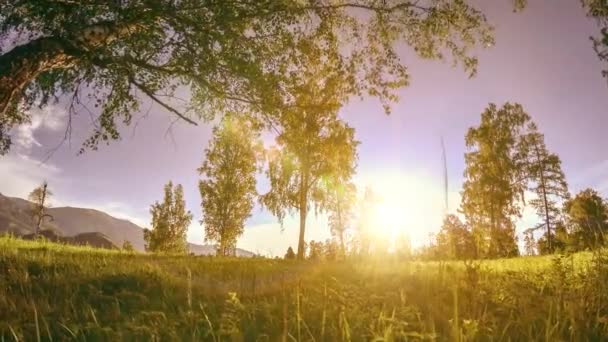 Berg äng Time-lapse på sommaren eller höst tiden. Vild natur och landsbygd. Motoriserad Slider Dolly rörelse. — Stockvideo