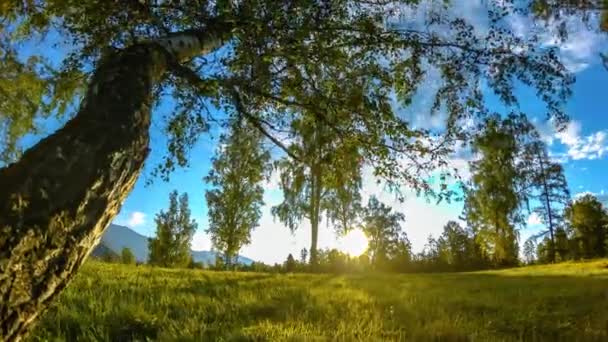 Mountain meadow time-lapse at the summer or autumn time. Wild nature and rural field. Motorised slider dolly movement. — Stock Video