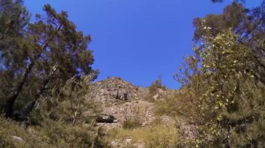 Yazın 4K UHD dağ zaman dilimi. Bulutlar yeşil ağaçları ve güneş ışınlarını hareket ettirir.