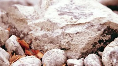 Dolly ormanın yakınındaki bir dağ nehrinde akan suyun kaygan görüntüsü. Islak kayalar ve güneş ışınları. Yatay sabit hareket.