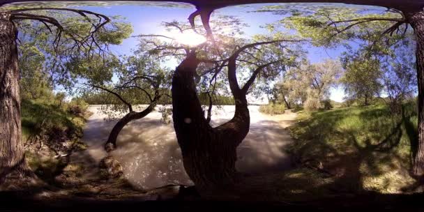 UHD 4K 360 VR La réalité virtuelle d'une rivière coule sur des rochers dans un magnifique paysage de forêt de montagne — Video