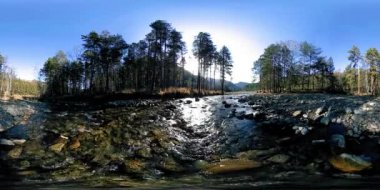 Vahşi dağların, çam ormanlarının ve nehir akışlarının 360 VR sanal gerçekliği. Ulusal park, çayır ve güneş ışınları.