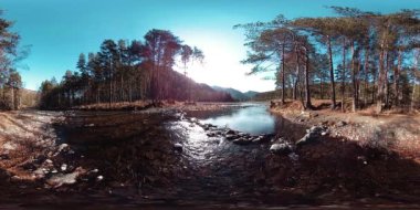 Vahşi dağların, çam ormanlarının ve nehir akışlarının 360 VR sanal gerçekliği. Ulusal park, çayır ve güneş ışınları.