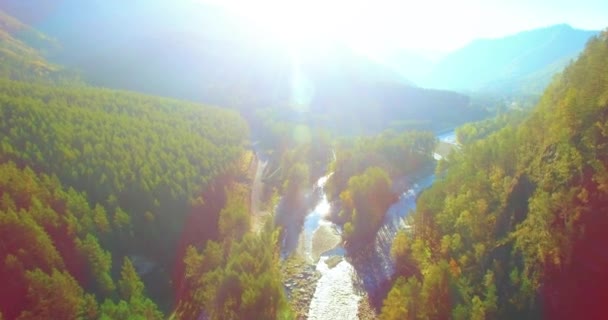 Vôo a meio do ar sobre o rio e o prado frescos da montanha na manhã ensolarada do verão. Estrada de terra rural abaixo. — Vídeo de Stock