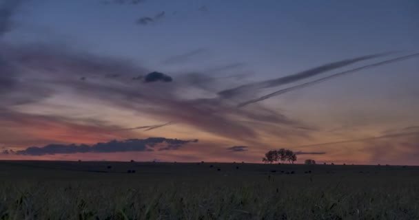 Επίπεδο λόφο λιβάδι timelapse κατά την καλοκαιρινή ανατολή του ηλίου. Άγρια φύση και αγροτικό πεδίο. Ηλιαχτίδες, δέντρα, πράσινο γρασίδι. Μηχανοκίνητος ολισθητήρας — Αρχείο Βίντεο