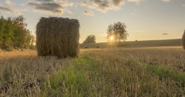 Timelapse del prado de la colina plana en la hora del atardecer del verano. Naturaleza salvaje y pajar rural en el campo de hierba. Rayos solares y árboles verdes. Deslizador de muñeca motorizado — Vídeos de Stock