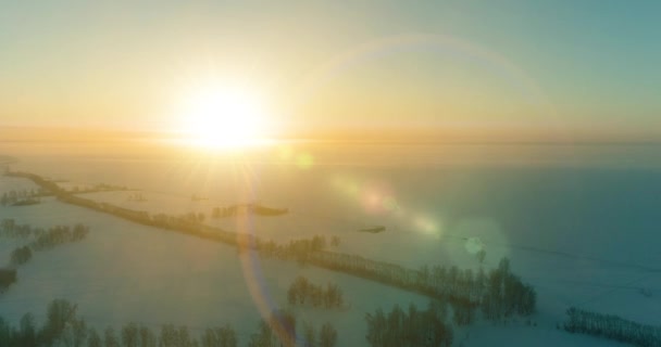 Vue aérienne par drone du paysage hivernal froid avec champ arctique, arbres couverts de neige verglaçante et rayons du soleil matinaux au-dessus de l'horizon. — Video