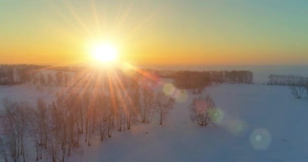 Воздушный беспилотник с видом на холодный зимний пейзаж с арктическим полем, деревья, покрытые морозным снегом и утренние солнечные лучи над горизонтом. — стоковое видео