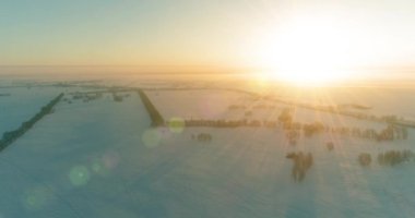 Arktik çayırlı soğuk kış manzarası, karla kaplı ağaçlar ve ufukta sabah güneşleri..