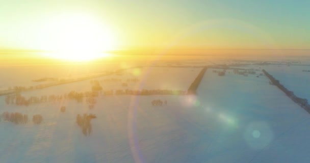 北極のフィールドと寒い冬の風景の空中ドローンビュー、水平線上に霜雪と朝の太陽光線で覆われた木. — ストック動画