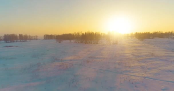 Veduta aerea drone del freddo paesaggio invernale con campo artico, alberi coperti di neve gelo e raggi del sole del mattino all'orizzonte. — Video Stock