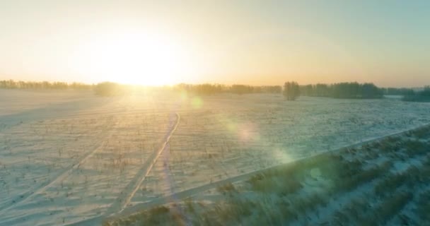 Vista aérea de drones del frío paisaje invernal con campo ártico, árboles cubiertos de nieve helada y rayos de sol matutinos sobre el horizonte. — Vídeos de Stock