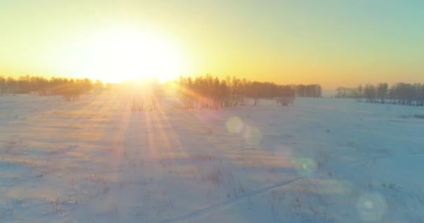 Воздушный беспилотник с видом на холодный зимний пейзаж с арктическим полем, деревья, покрытые морозным снегом и утренние солнечные лучи над горизонтом. — стоковое видео