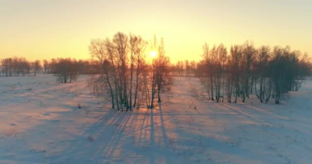 Flygdrönare syn på kallt vinterlandskap med arktiska fält, träd täckta med frost snö och morgonsol strålar över horisonten. — Stockvideo