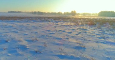 Arktik çayırlı soğuk kış manzarası, karla kaplı ağaçlar ve ufukta sabah güneşleri..