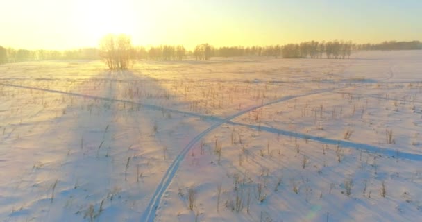 Veduta aerea drone del freddo paesaggio invernale con campo artico, alberi coperti di neve gelo e raggi del sole del mattino all'orizzonte. — Video Stock