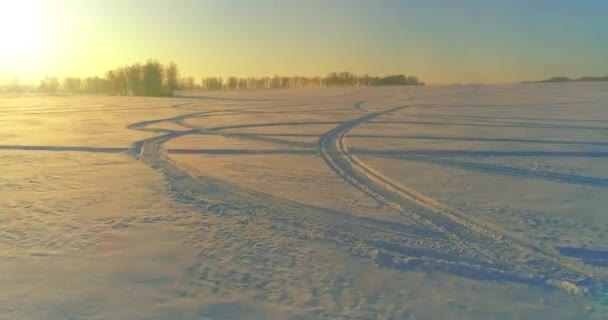 Flygdrönare syn på kallt vinterlandskap med arktiska fält, träd täckta med frost snö och morgonsol strålar över horisonten. — Stockvideo