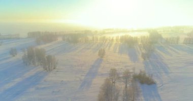 Arktik çayırlı soğuk kış manzarası, karla kaplı ağaçlar ve ufukta sabah güneşleri..