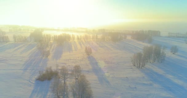 Letecký bezpilotní pohled na studenou zimní krajinu s arktickým polem, stromy pokryté mrazivým sněhem a ranními slunečními paprsky nad obzorem. — Stock video