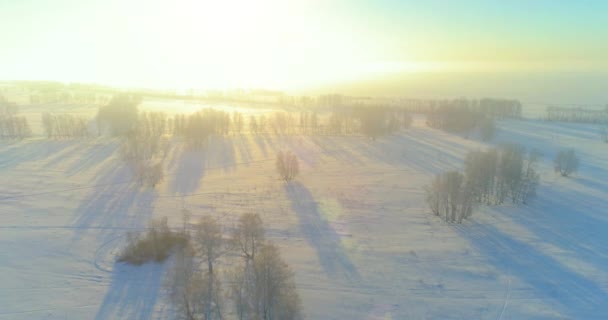 Vue aérienne par drone du paysage hivernal froid avec champ arctique, arbres couverts de neige verglaçante et rayons du soleil matinaux au-dessus de l'horizon. — Video