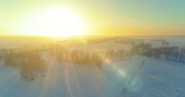 Arktik çayırlı soğuk kış manzarası, karla kaplı ağaçlar ve ufukta sabah güneşleri..