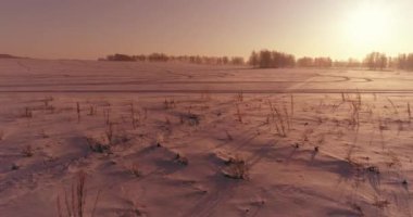Arktik çayırlı soğuk kış manzarası, karla kaplı ağaçlar ve ufukta sabah güneşleri..