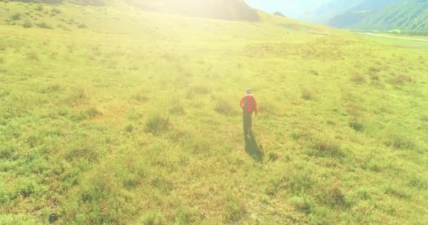 Vuelo sobre mochila senderismo turista caminando a través de campo de montaña verde. Gran valle rural en el día de verano. — Vídeos de Stock
