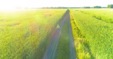 Kırsal yoldaki bir çim tarlasında bisiklet süren genç bir çocuğun hava manzarası. Güneş ışığı ve ışınlar.