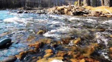 Dolly ormanın yakınındaki bir dağ nehrinde akan suyun kaygan görüntüsü. Islak kayalar ve güneş ışınları. Yatay sabit hareket.