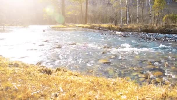 Dolly slider shot of the splashing water in a mountain river near forest. Wet rocks and sun rays. Horizontal steady movement. — Stock Video