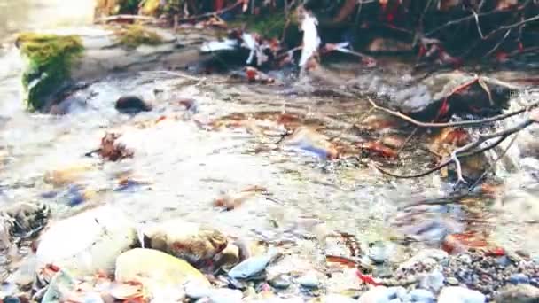 Dolly deslizador de tiro de las salpicaduras de agua en un río de montaña cerca del bosque. Rocas húmedas y rayos de sol. Movimiento horizontal constante. — Vídeo de stock