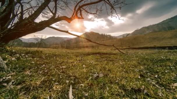 Zeitraffer von Todesbaum und trockenem, gelbem Gras in bergiger Landschaft mit Wolken und Sonnenstrahlen. Horizontale Schieberbewegung — Stockvideo